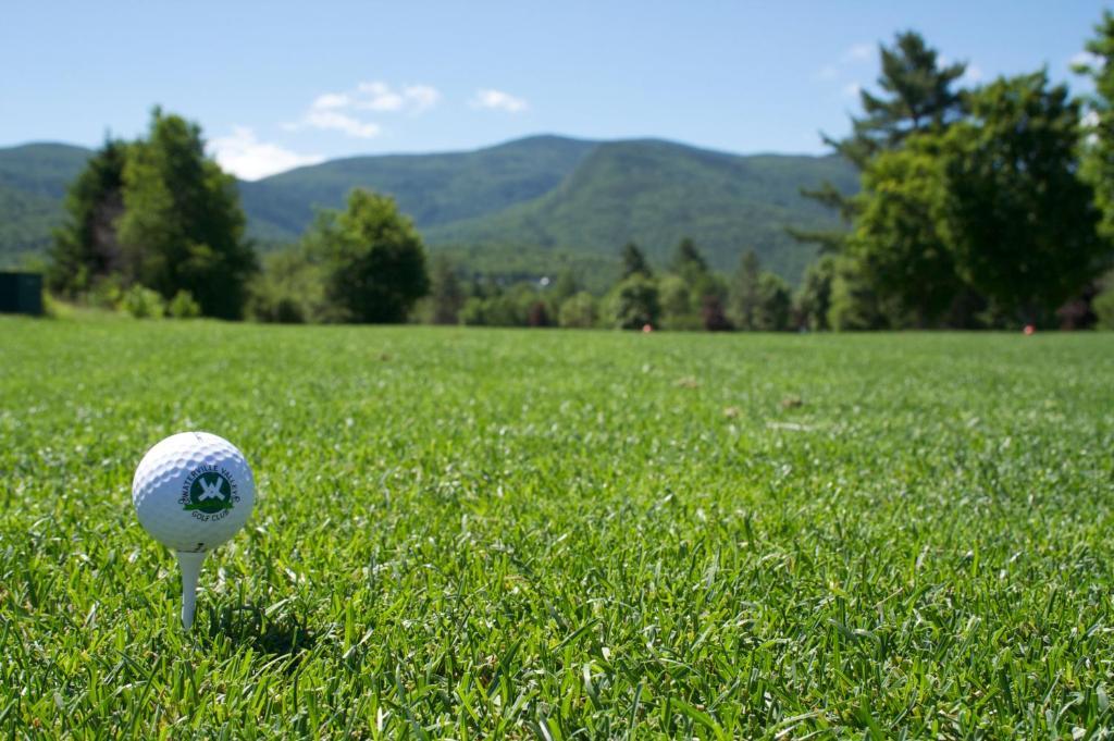 Black Bear Lodge Waterville Valley Esterno foto