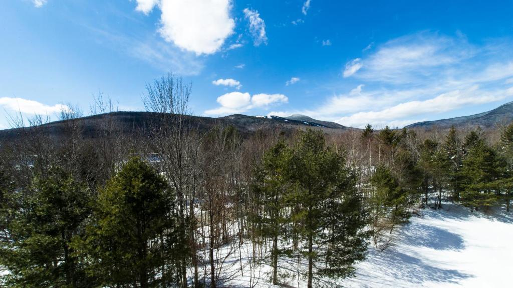 Black Bear Lodge Waterville Valley Esterno foto